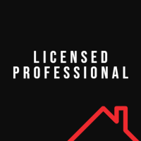 licensed professional